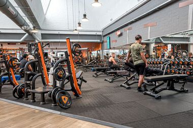 Free weight zone 2 Kleine Dam Lokeren